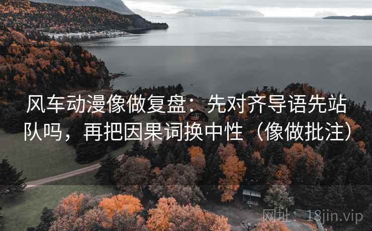 风车动漫像做复盘：先对齐导语先站队吗，再把因果词换中性（像做批注）  第2张