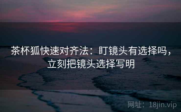 茶杯狐快速对齐法：盯镜头有选择吗，立刻把镜头选择写明  第2张